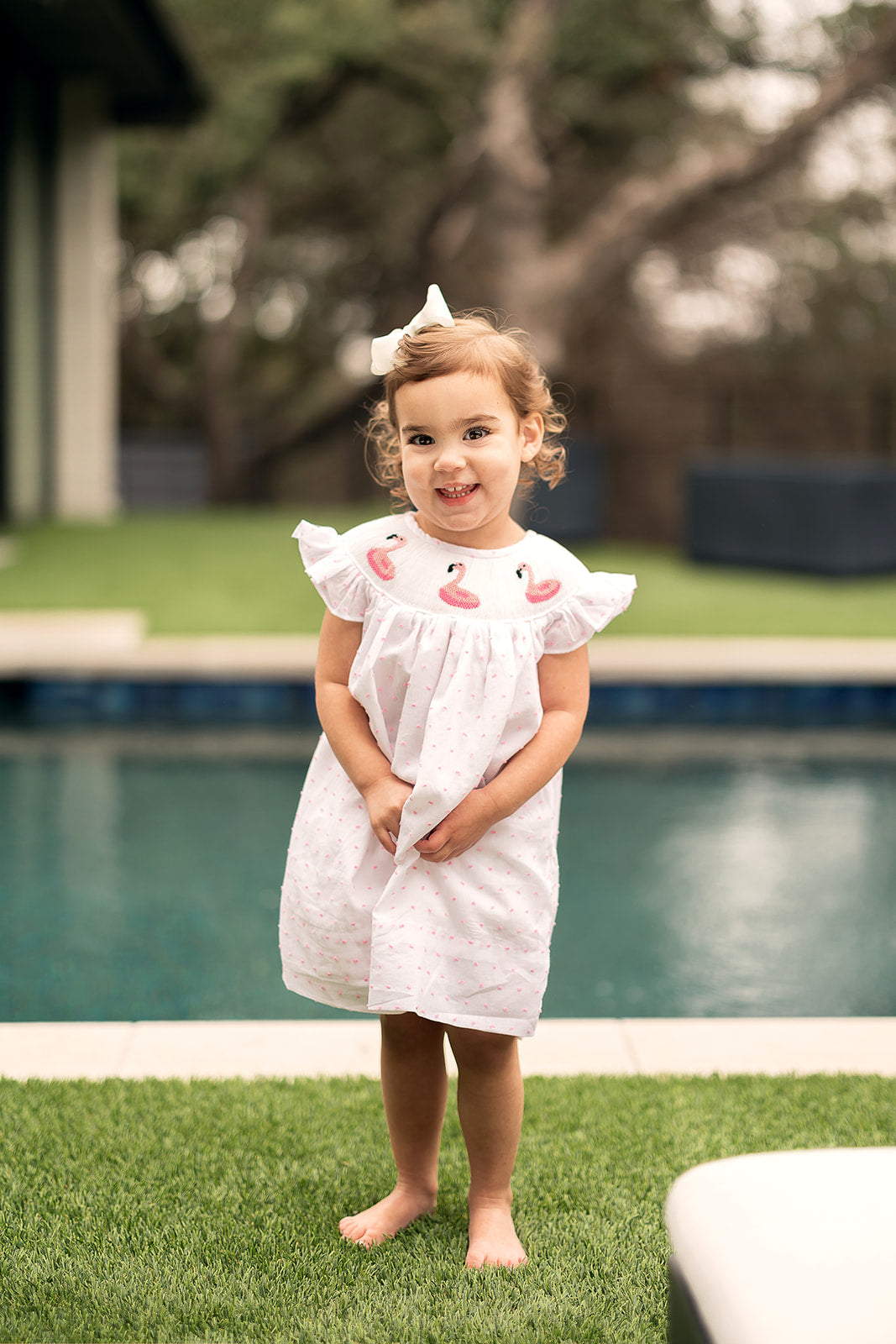 Flamingo Dress